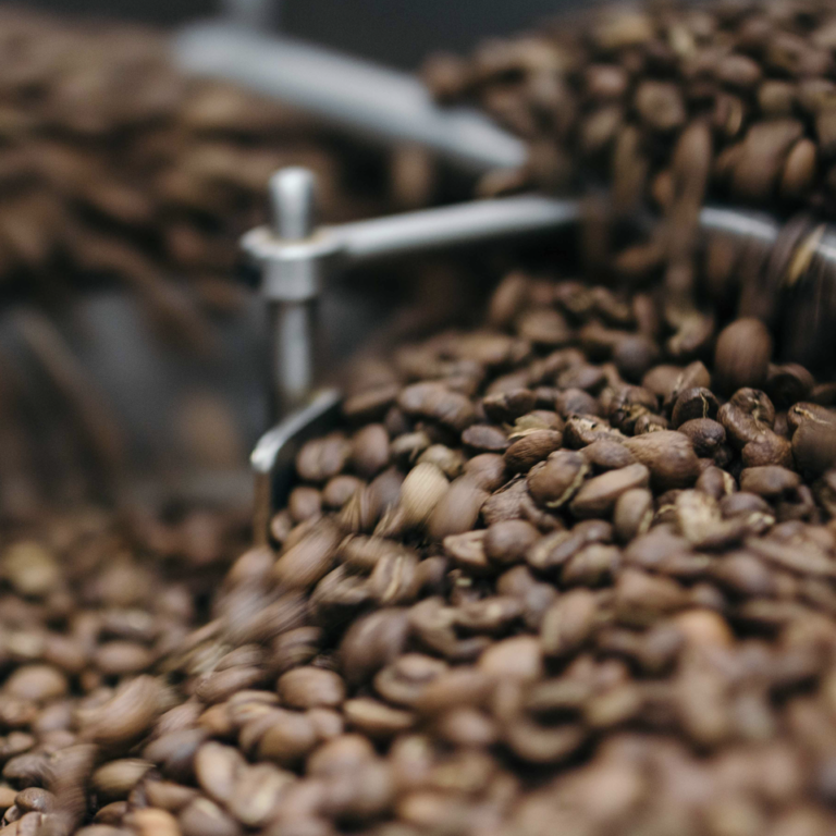 Freshly roasted coffee beans in the cooling tray of a member roastery